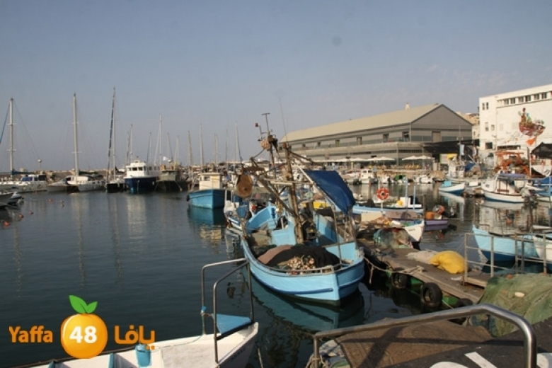 وزارة الزراعة تخصص ميزانية لتعويض صيادي الأسماك